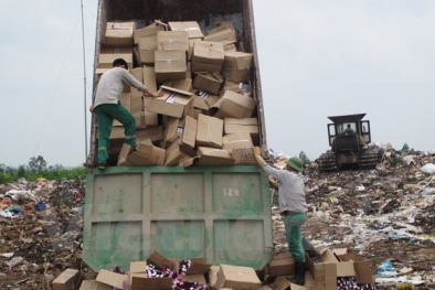 Bắc Giang: ‘Hóa vàng’ hơn 600 lọ dầu gội, 2000 tuýp thuốc nhuộm tóc không rõ nguồn gốc