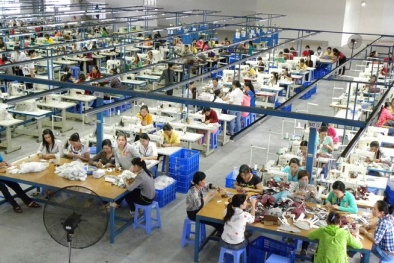 Doanh nghiệp may quản lý chi phí, nâng cao năng suất nhờ phần mềm ERP