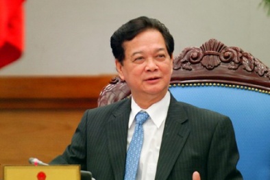Thủ tướng quyết định bổ nhiệm một số cán bộ