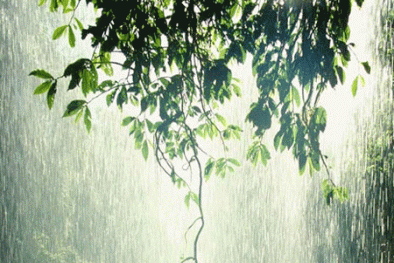 Dự báo thời tiết ngày mai 22/7/2015: Ngày nắng, chiều tối có mưa rào và dông 