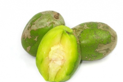 Phòng và điều trị cảm cúm, đau họng với quả cóc