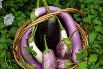 Bà bầu ăn cà tím ngăn ngừa dị tật bẩm sinh cho thai nhi