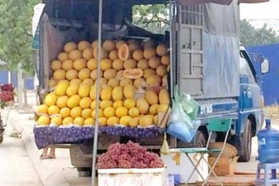 Dưa vàng Trung Quốc có bị bơm thuốc ngọt lịm?
