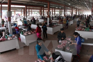 Xăng giảm nhỏ giọt, cước vận tải và hàng hóa 'bình chân như vại'