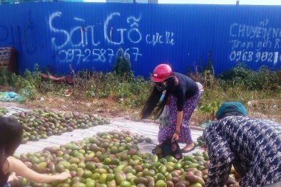 'Đắng lòng' trái bơ Việt giá rẻ, đổ đống trên vỉa hè