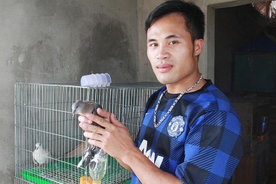 Bí kíp không tưởng dạy chim thành 'ca sĩ'