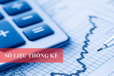 Việt Nam hướng đến vị trí thứ 5 trong ASEAN về công tác thống kê