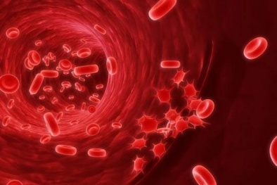 Hơn 200 loại ung thư và cách biểu hiện dễ nhận biết