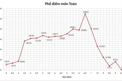 Có sai sót trong phổ điểm tất cả các môn của Bộ Giáo dục