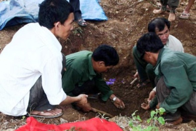 Đang triển khai lấy mẫu phẩm hơn 8.000 liệt sĩ chưa biết tên