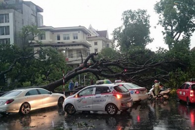 Đọc báo hôm nay: Những tin tức mới cập nhật 24h ngày 29/7/2015