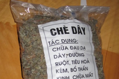 Uống chè dây không rõ nguồn gốc, một người tử vong