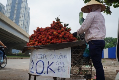 Bị chê cân điêu, nhiều người bán rong tức mình treo biển 'chôm chôm cân đủ'
