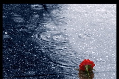 Dự báo thời tiết ngày mai 31/7/2015: Có mưa và dông vài nơi 