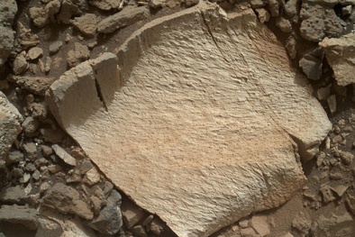 Phát hiện phiến đá có khả năng từng chứa sự sống trên Sao Hỏa