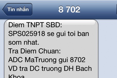 Phạt hai tổng đài tra cứu điểm thi 140 triệu đồng