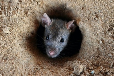 Đọc báo hôm nay: Những tin tức mới cập nhật 24h ngày 2/8/2015