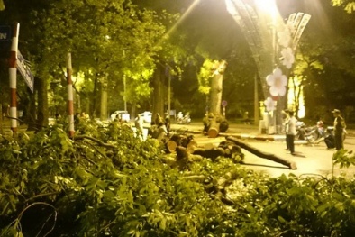 Nơm nớp lo sợ khi đi dưới mưa bão trên đường phố Hà Nội 