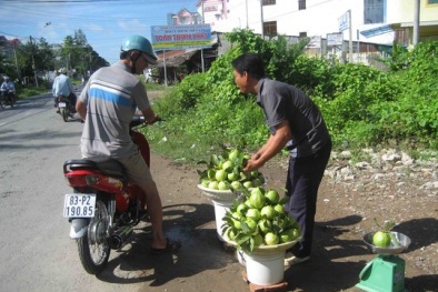 Ổi lê miền Tây 'hồi sinh', tăng giá gấp 10 lần