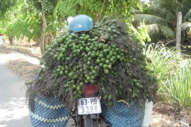 Đến lượt cau tươi tăng giá chóng mặt