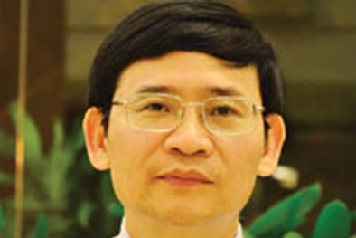 Ngân hàng là 'nạn nhân' của nợ xấu?