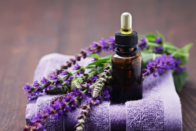 Sáu loại mùi là khắc tinh của muỗi