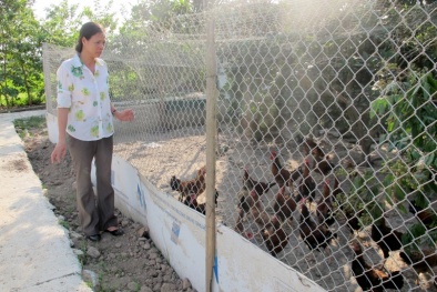 Bắc Ninh: Mô hình sản xuất nông nghiệp hữu cơ cho năng suất cao