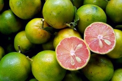 Cách chọn chanh đào ngon thơm, mọng nước