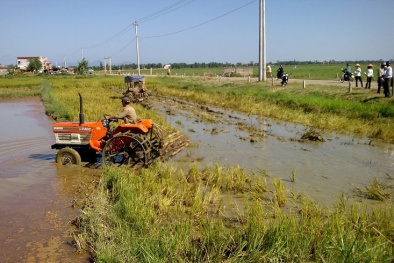 Quảng Bình: Cơ giới hóa nâng cao năng suất sản xuất nông nghiệp