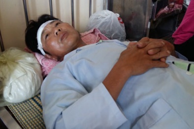 Tin tức pháp luật mới nhất 24h hôm nay ngày 7/8