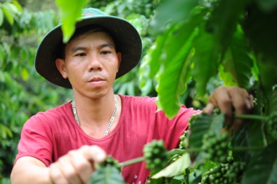 'Vắt' 1 tỷ đồng/năm từ mảnh đất đồi dốc, sỏi đá