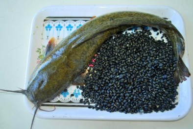 5 loại cá chữa chứng yếu sinh lý hiệu quả không ngờ