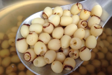 Vị thuốc hạt sen vừa dân dã vừa quý giá