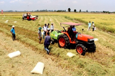 An Giang: Hội thảo và trình diễn cơ giới hóa vào đồng ruộng
