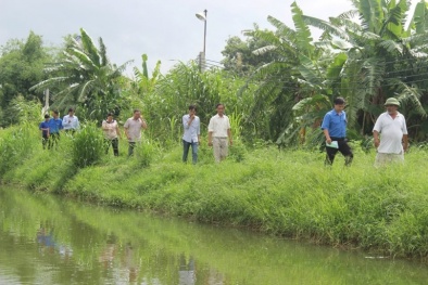 Đăk Lăk: Mô hình trang trại giúp năng suất nông nghiệp tăng cao