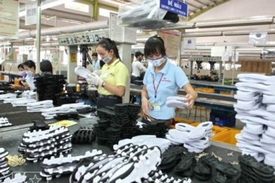Hải Phòng: Tập huấn nâng cao năng suất chất lượng cho ngành may mặc và da giầy