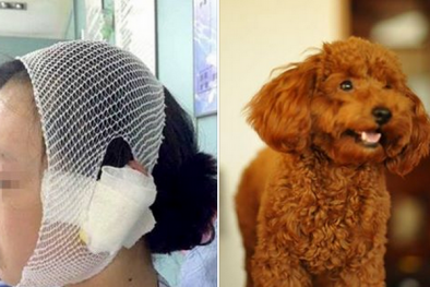 Người phụ nữ cắn đứt lìa tai cô gái đá chó cưng của mình