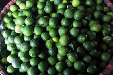 Chanh miền Nam giá tăng 200 lần khi tới Hà Nội