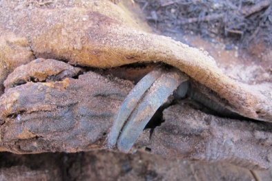 Phát hiện hơn một triệu ngôi mộ cổ chứa xác ướp ở Ai Cập 