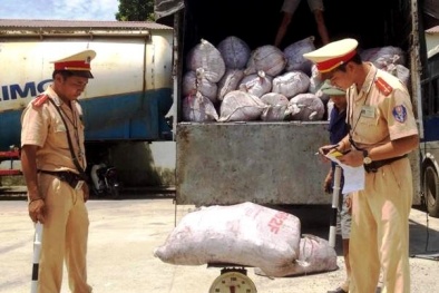 Tin tức pháp luật mới nhất hôm nay ngày 15/8