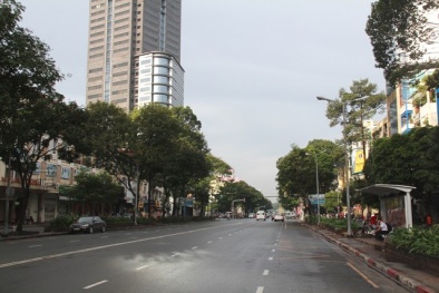 TPHCM: 74 cây xanh có thể bị chặt để xây nhà ga metro