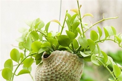 Những vật dụng cấm kỵ đặt trên bàn làm việc