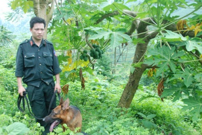 Thảm sát ở Yên Bái: Công an ăn lương khô bám rừng, quyết bắt nghi phạm trước 19/8