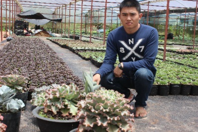 Mới 28 tuổi đã trở thành 'vua' sen đá ở xứ hoa Đà Lạt