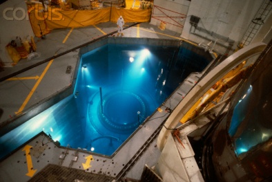 Vai trò của các loại chất trong lò phản ứng hạt nhân