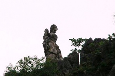 Phạt nặng hành vi kết hôn với người cùng dòng máu trực hệ 