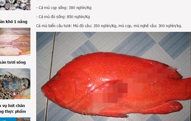 Nhà giàu Hà Thành tẩm bổ cá mú đỏ 1 triệu/kg