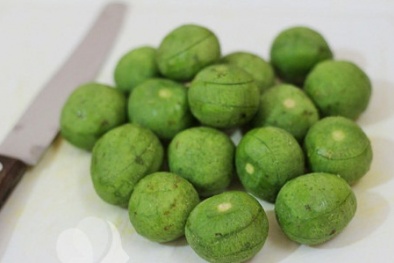 Những công dụng chữa bệnh tuyệt vời của sấu 