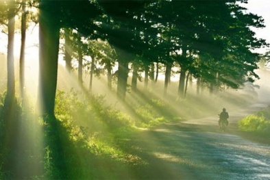 Dự báo thời tiết ngày mai 24/8: Nhiệt độ giảm, chiều tối có mưa vài nơi 