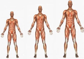 Đừng biến con thành 'khổng lồ' vì tự bổ sung hormone cao lớn